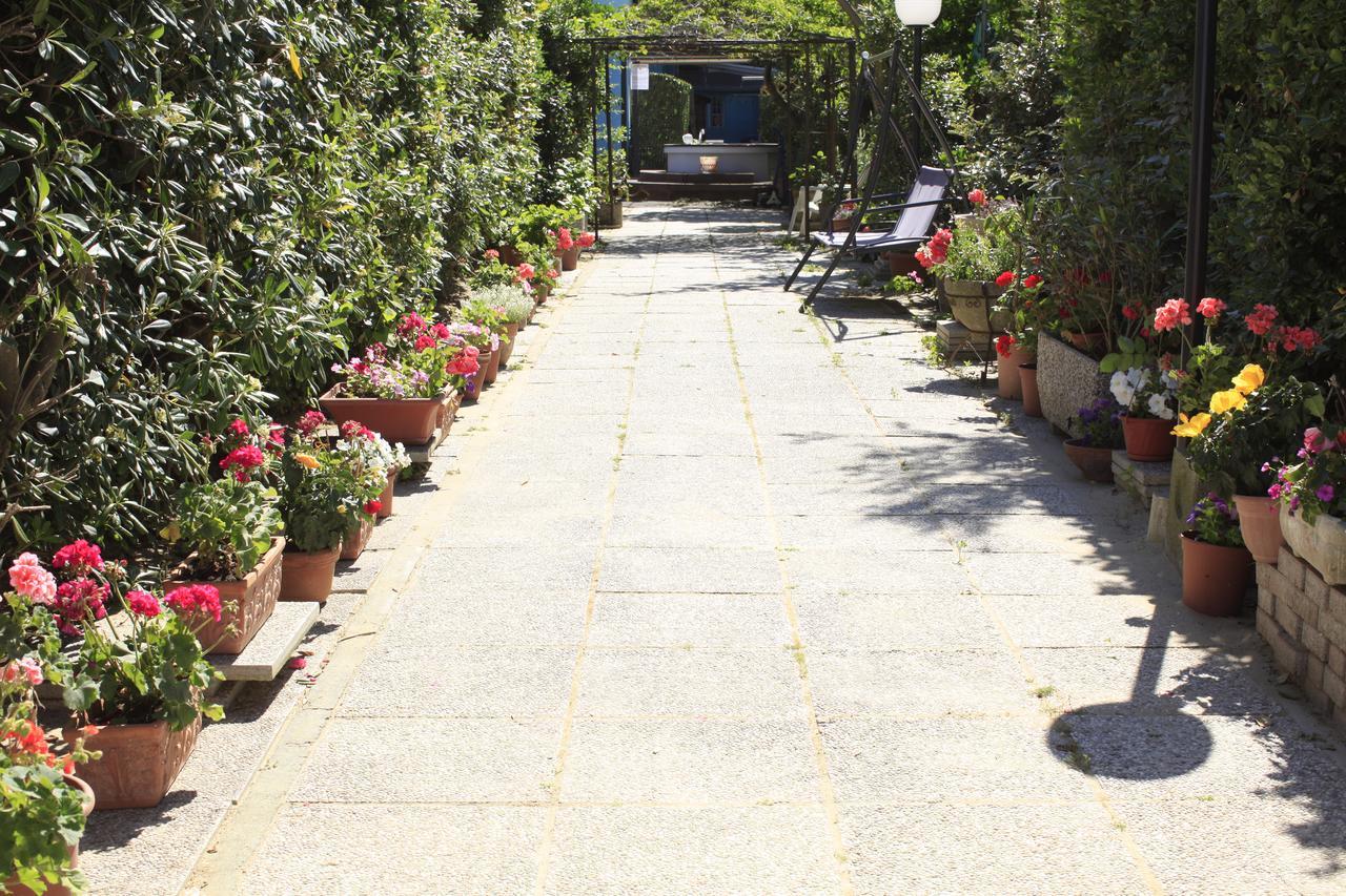 Art Hotel La Perla Bellaria-Igea Marina Esterno foto